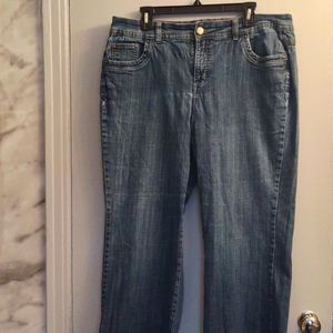 COPY - Modern Ladies Bootcut Jean